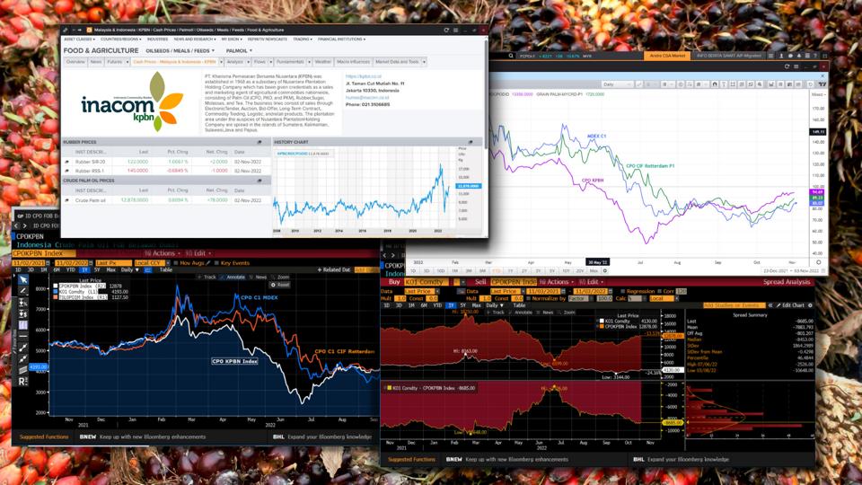 Indonesia’s KPBN Seeks to Take Part in Making Global CPO Price